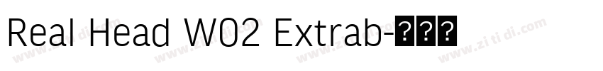 Real Head W02 Extrab字体转换